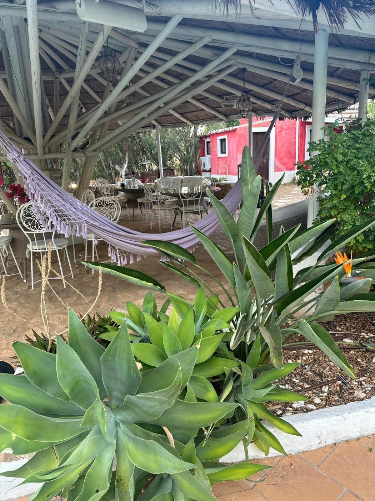 فندق Nuriah Boutique House بلوكويم المظهر الخارجي الصورة