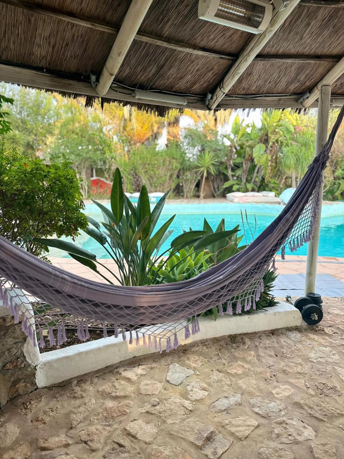 فندق Nuriah Boutique House بلوكويم المظهر الخارجي الصورة