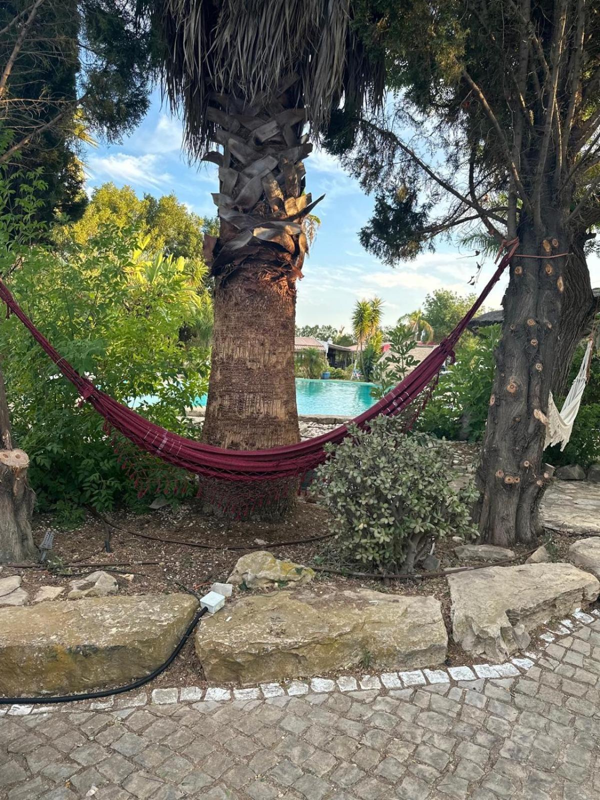 فندق Nuriah Boutique House بلوكويم المظهر الخارجي الصورة