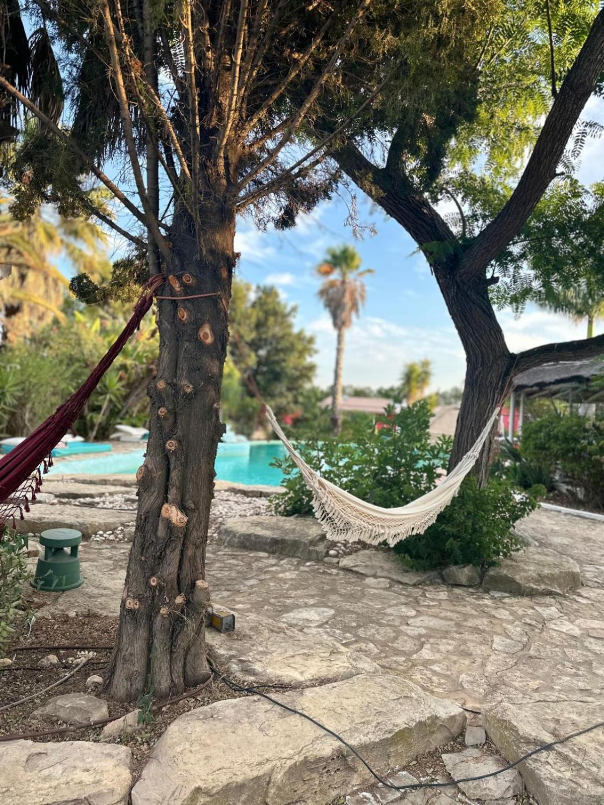 فندق Nuriah Boutique House بلوكويم المظهر الخارجي الصورة